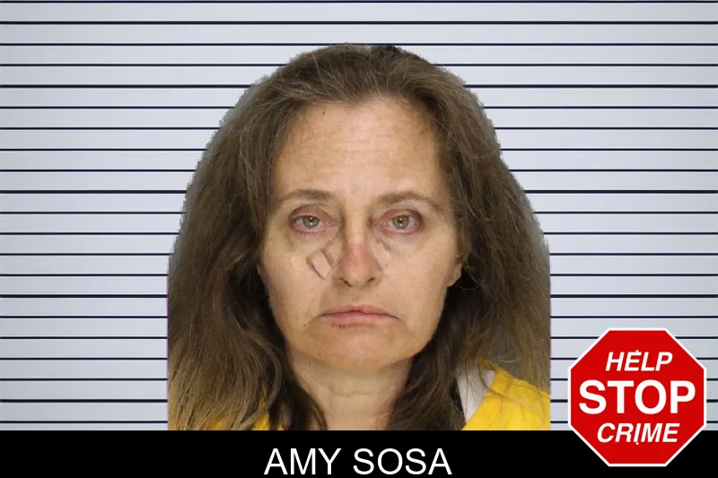 Amy Sosa mugshot – Cobb County , Georgia Amy Sosa mugshot