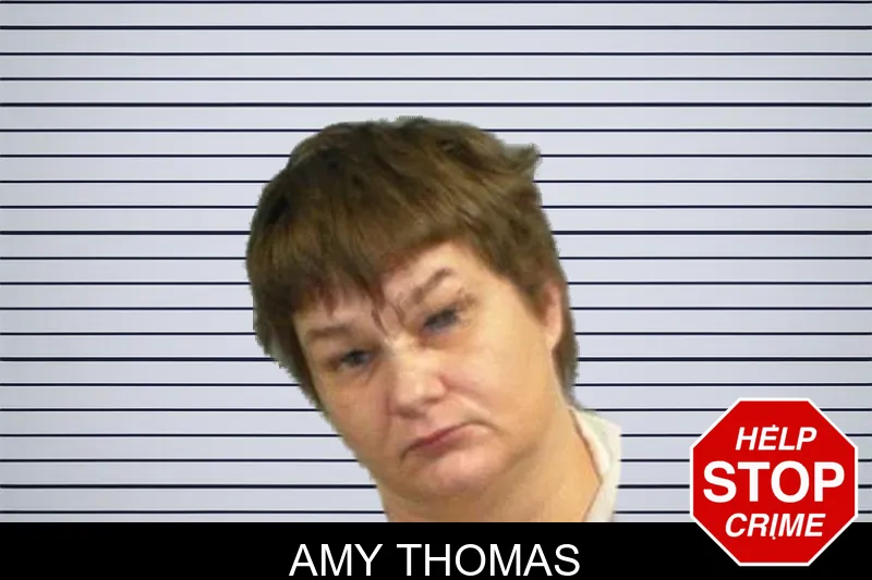 Amy Thomas mugshot – Upson County , Georgia Amy Thomas mugshot