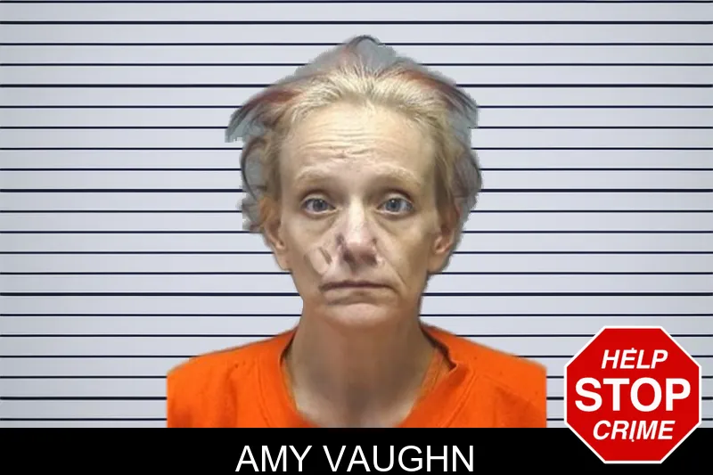 Amy Vaughn mugshot