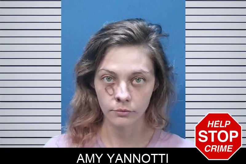 Amy Yannotti mugshot