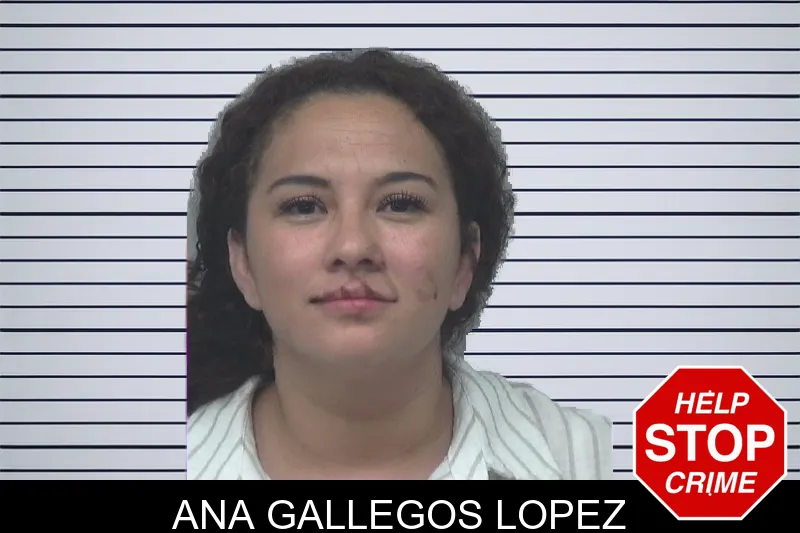 Ana Gallegos Lopez mugshot