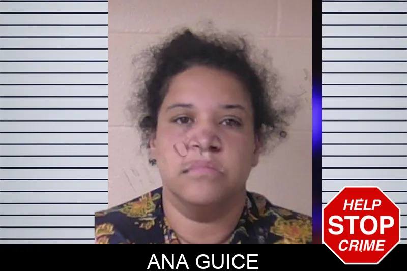 Ana Guice mugshot