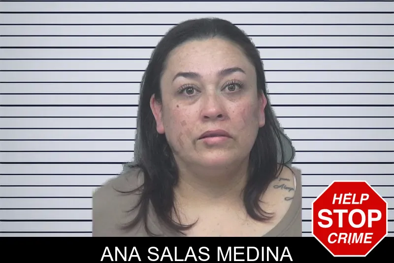Ana Salas Medina mugshot