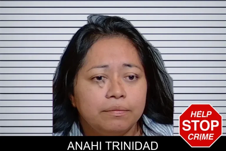 Anahi Trinidad mugshot – Glynn County , Georgia Anahi Trinidad