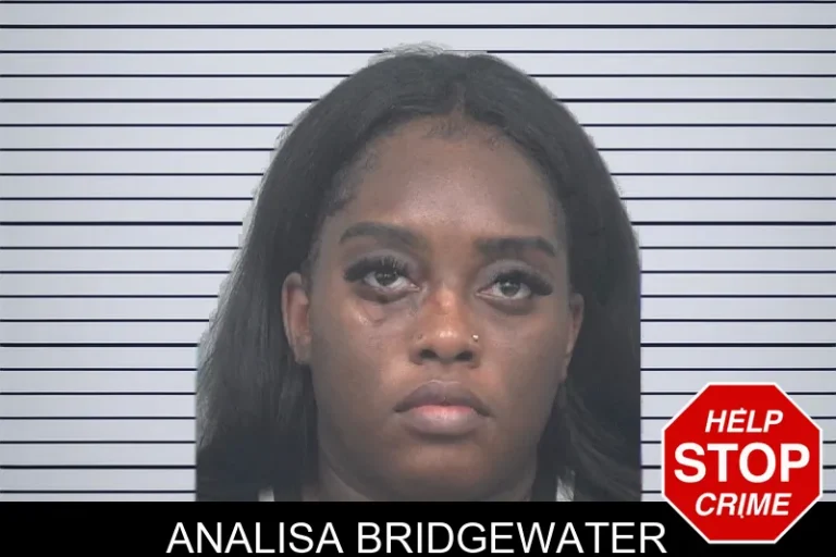 Analisa Bridgewater mugshot – Gwinnett County , Georgia Analisa Bridgewater