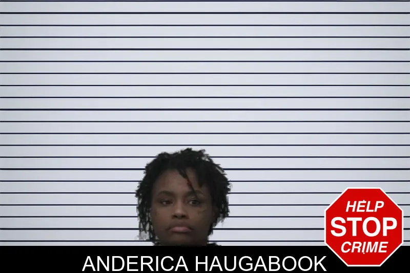 Anderica Haugabook mugshot