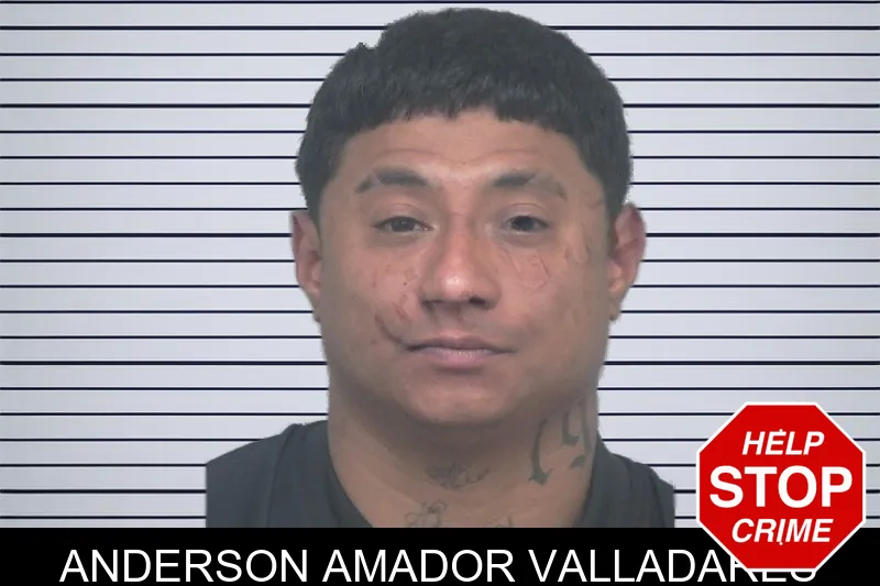 Anderson Amador Valladares mugshot – Gwinnett County , Georgia Anderson Amador Valladares mugshot