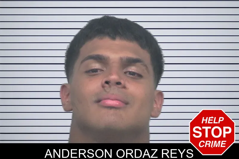 Anderson Ordaz Reys mugshot