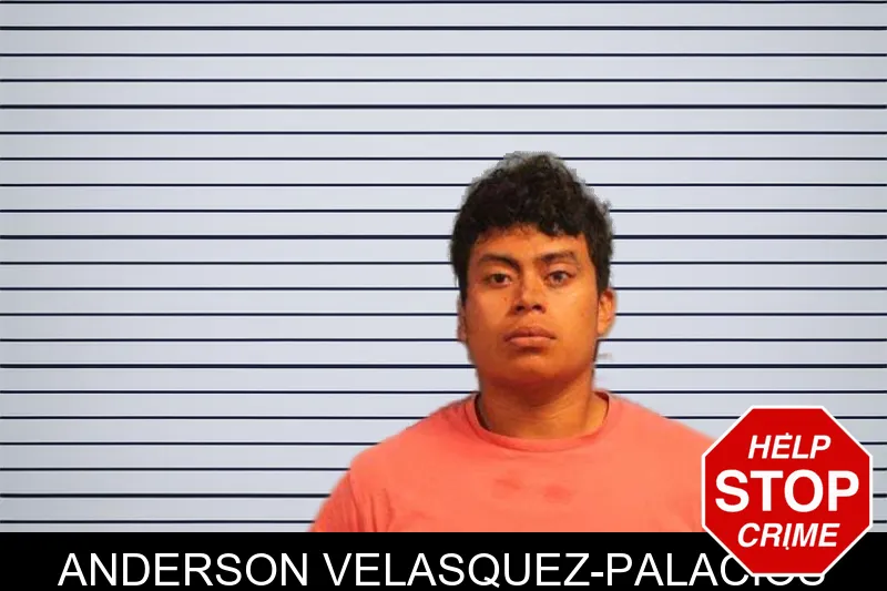 Anderson Velasquez-Palacios mugshot