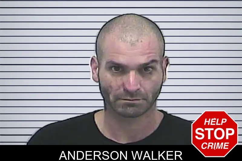 Anderson Walker mugshot
