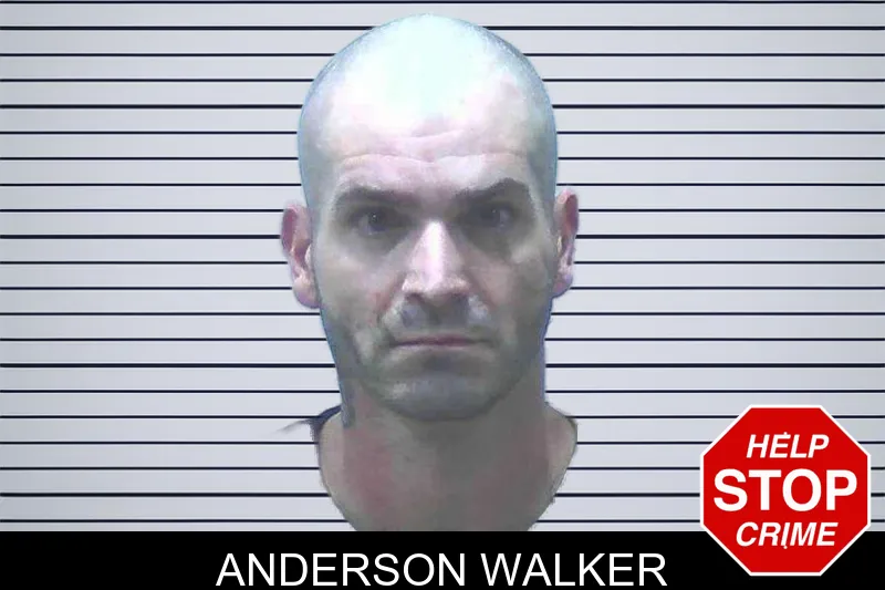 Anderson Walker mugshot