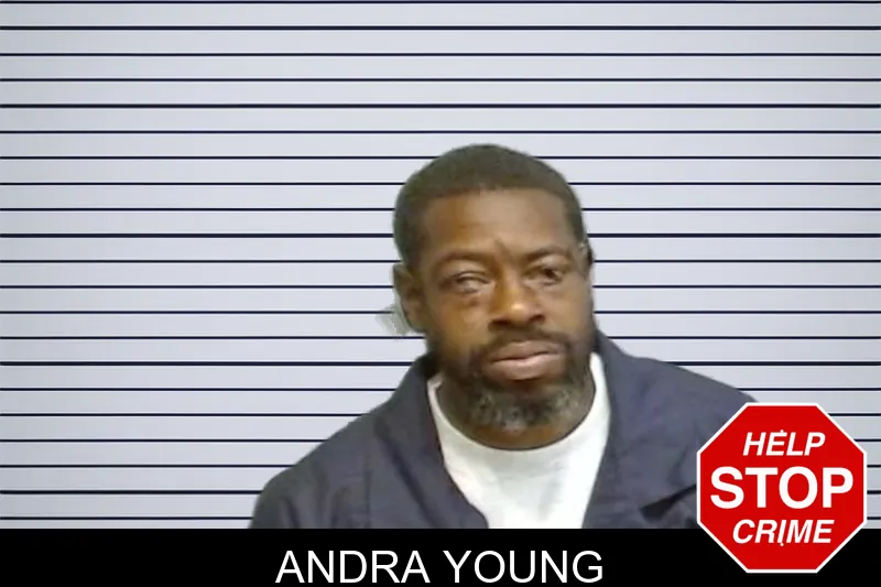 Andra Young mugshot – Fulton County , Georgia Andra Young mugshot