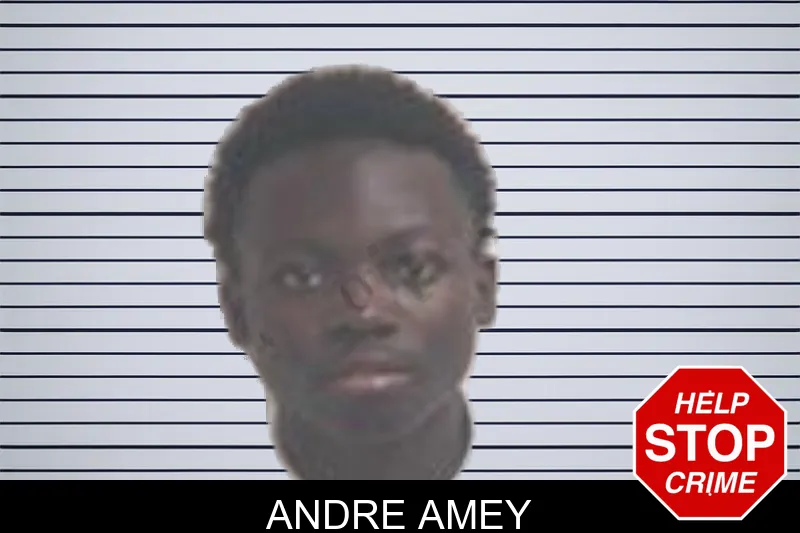 Andre Amey mugshot – Henry County , Georgia Andre Amey mugshot
