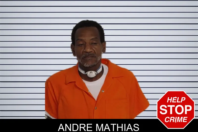 Andre Mathias mugshot – Rockdale County , Georgia Andre Mathias mugshot
