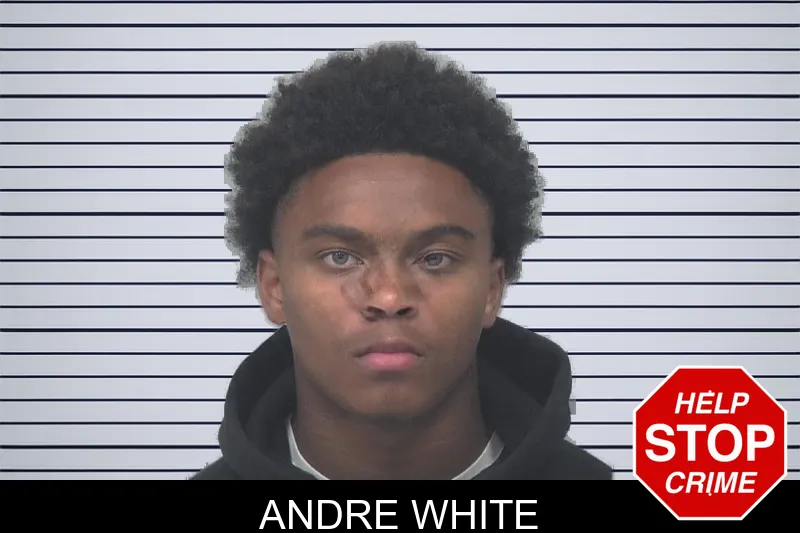 Andre White mugshot – Gwinnett County , Georgia Andre White mugshot
