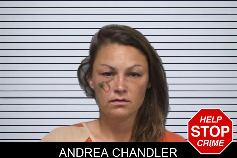 Andrea Chandler mugshot