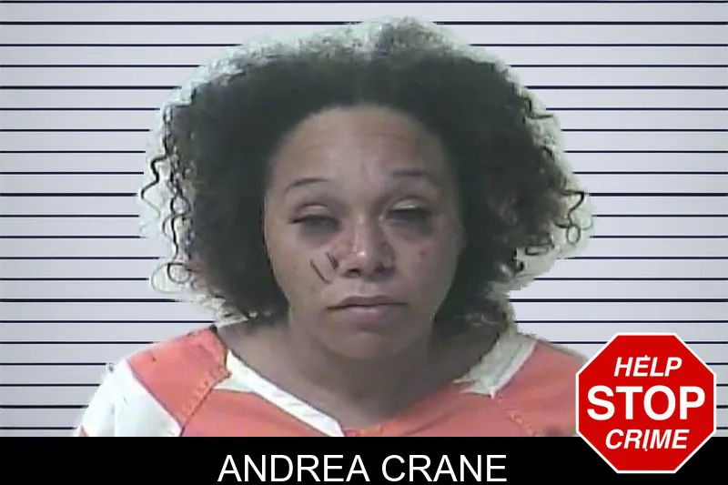 Andrea Crane mugshot