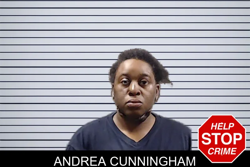 Andrea Cunningham mugshot – DeKalb County , Georgia Andrea Cunningham mugshot