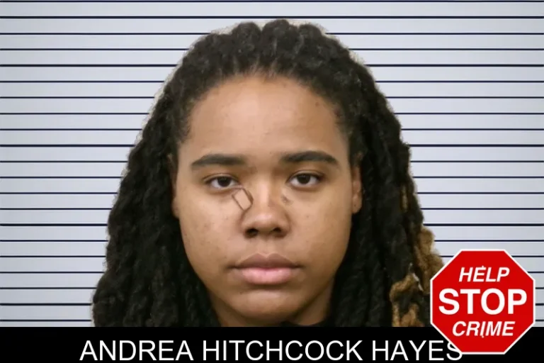 Andrea Hitchcock Hayes