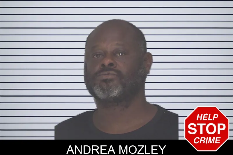 Andrea Mozley mugshot