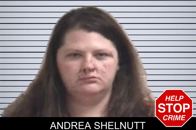 Andrea Shelnutt mugshot