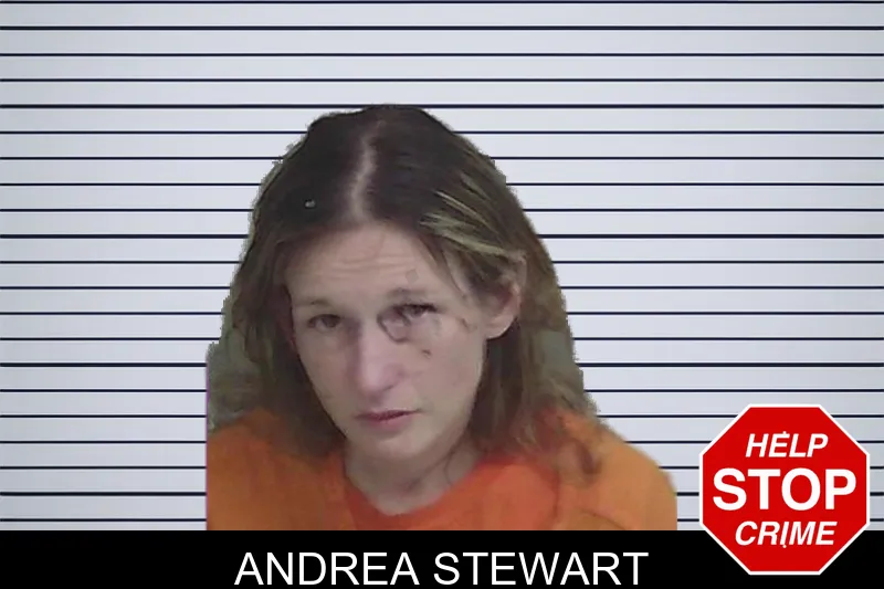 Andrea Stewart mugshot – Wayne County , Georgia Andrea Stewart mugshot