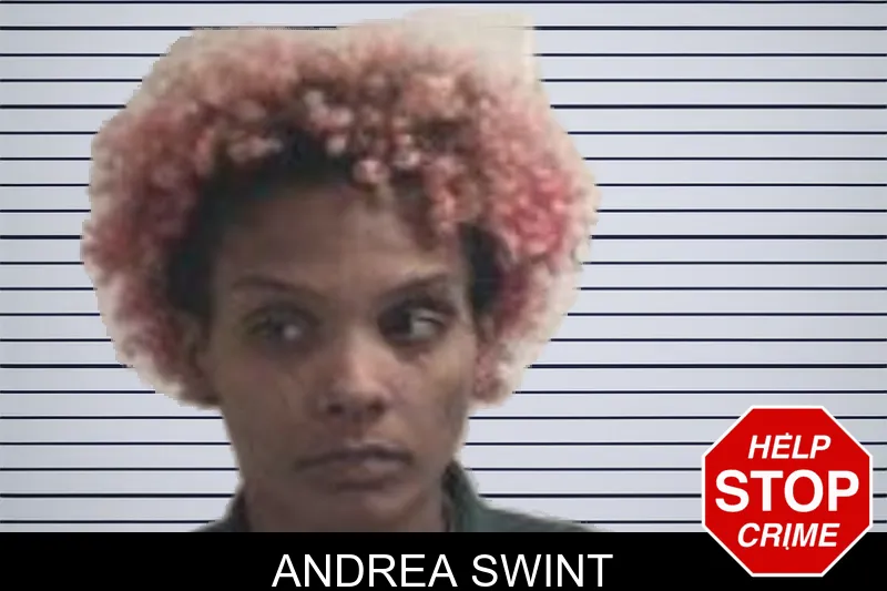 Andrea Swint mugshot