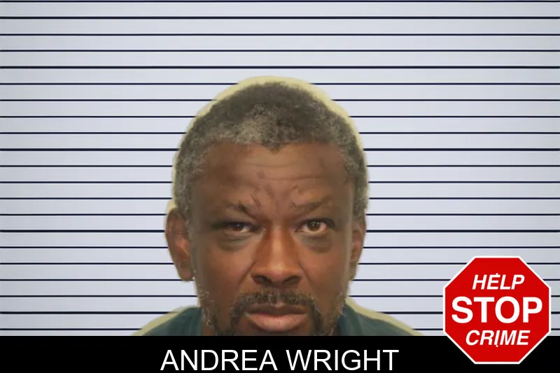 Andrea Wright mugshot