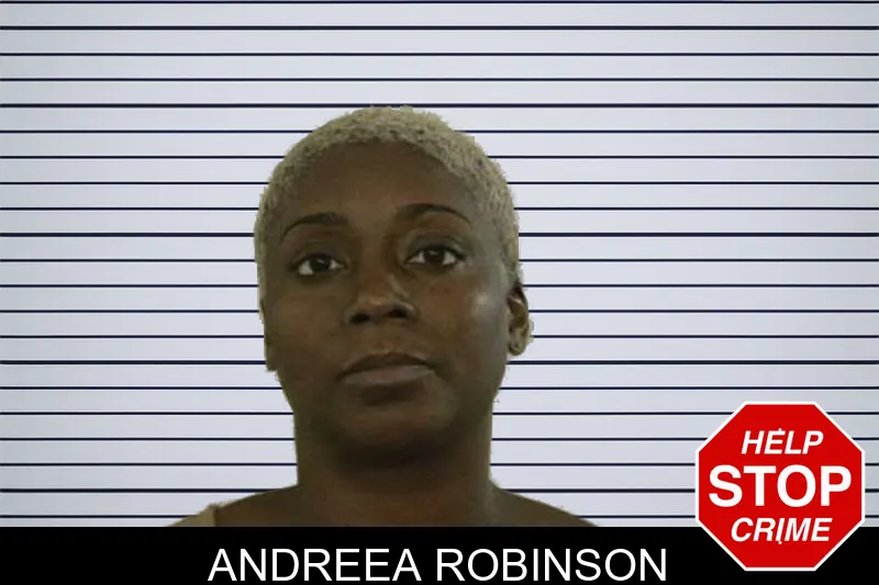 Andreea Robinson mugshot