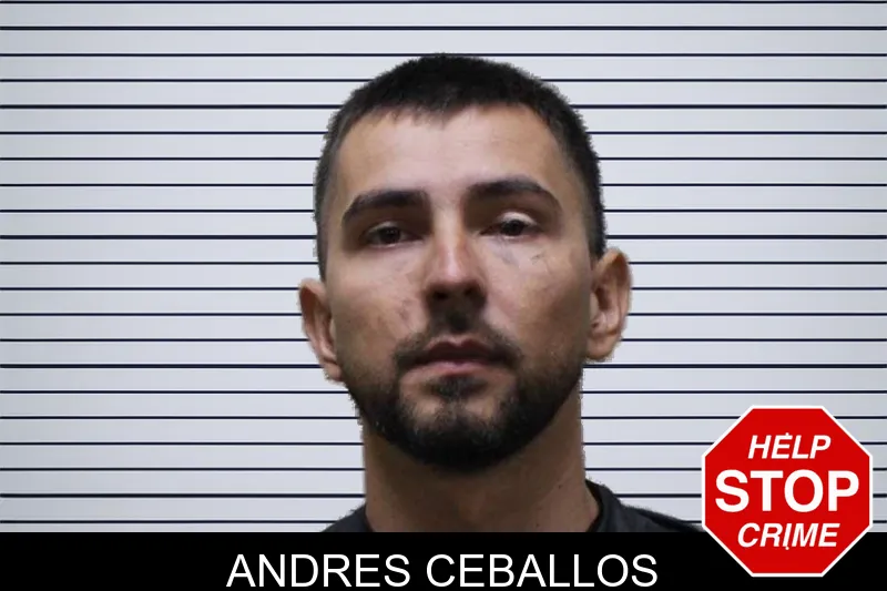 Andres Ceballos mugshot