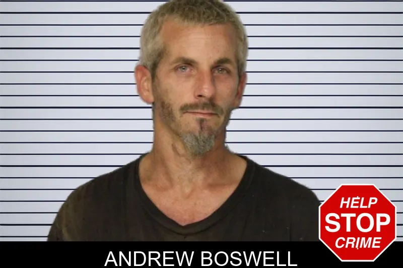 Andrew Boswell mugshot – Hall County , Georgia Andrew Boswell mugshot