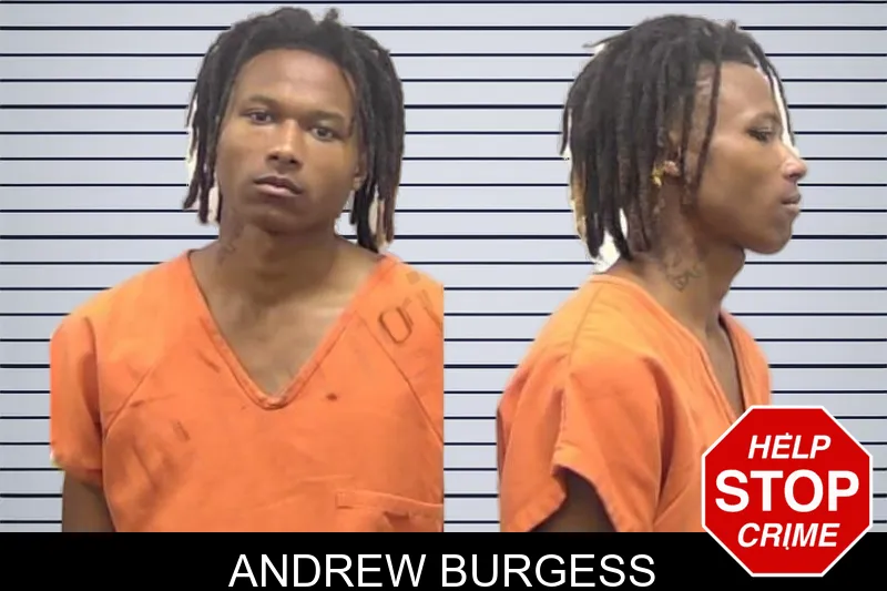 Andrew Burgess mugshot