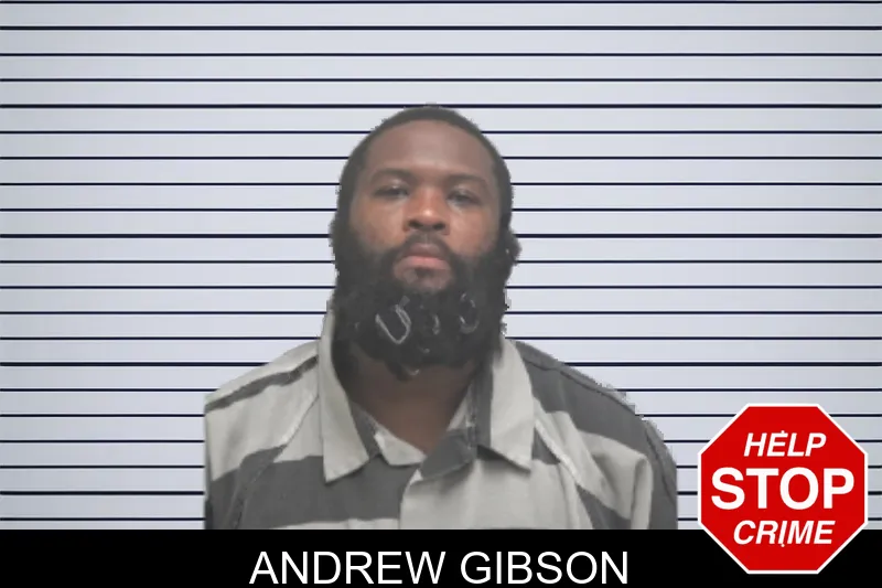 Andrew Gibson mugshot