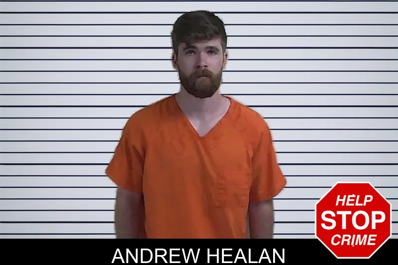 Andrew Healan mugshot