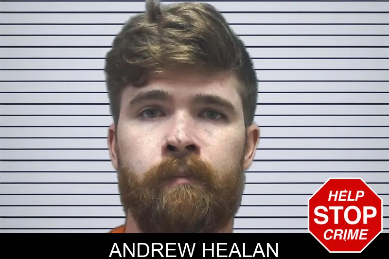 Andrew Healan mugshot