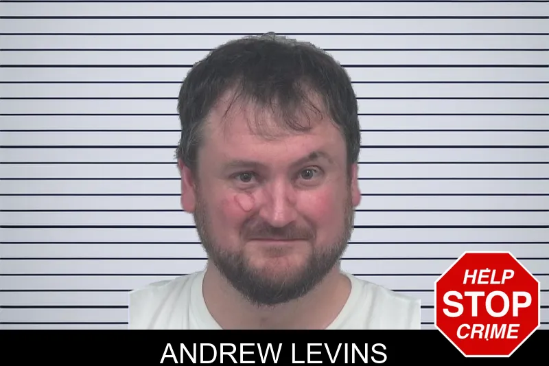 Andrew Levins mugshot