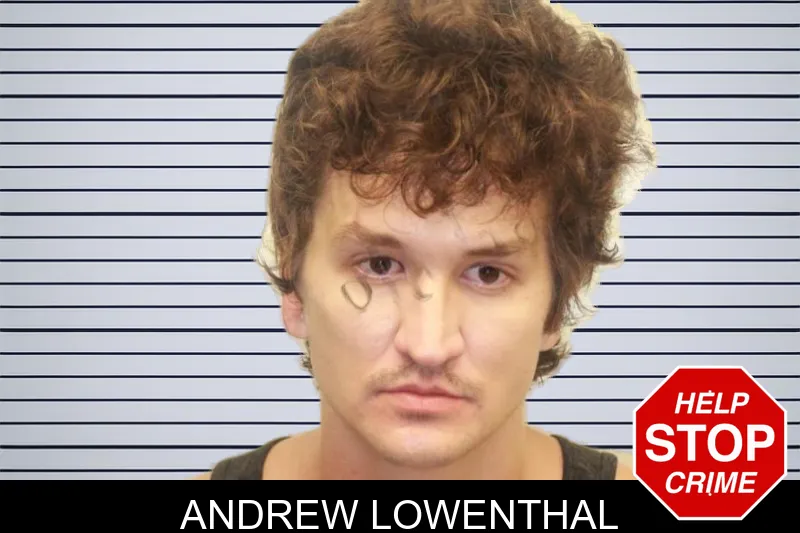 Andrew Lowenthal mugshot