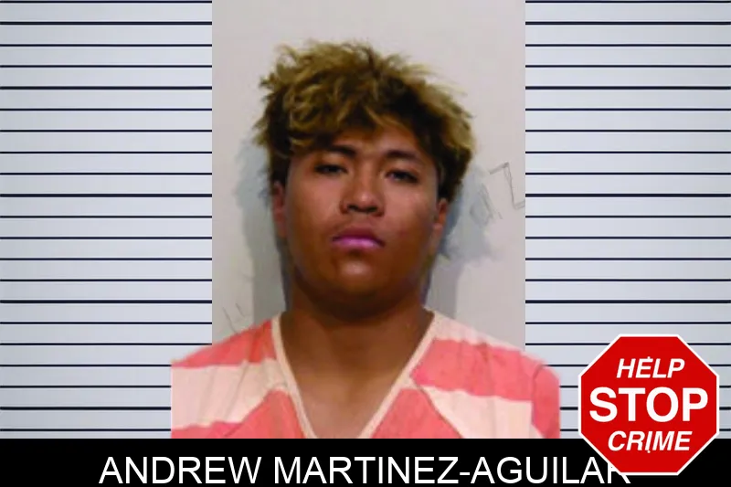Andrew Martinez-Aguilar mugshot
