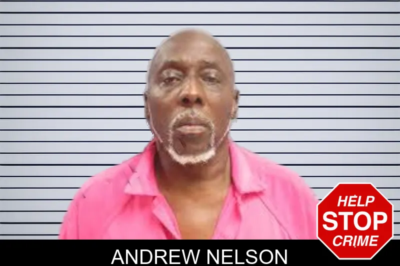 Andrew Nelson mugshot