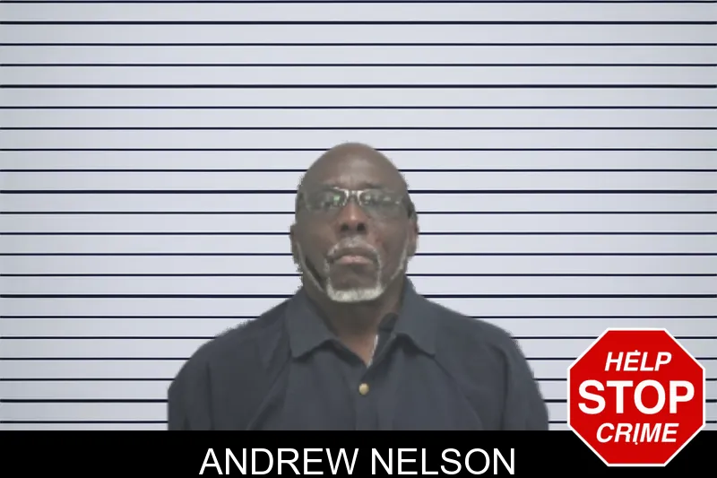 Andrew Nelson mugshot