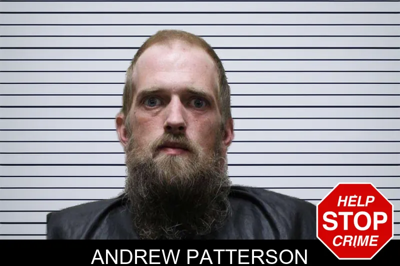 Andrew Patterson mugshot