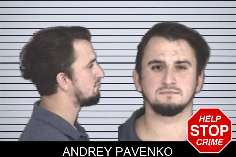 Andrey Pavenko mugshot