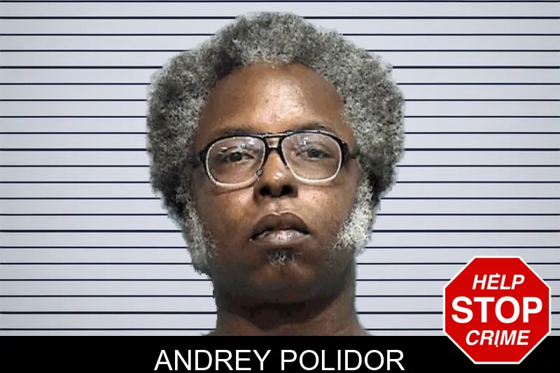 Andrey Polidor mugshot