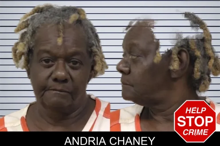 Andria Chaney mugshot – Bartow County , Georgia Andria Chaney