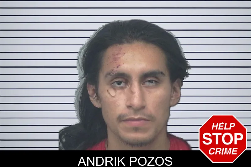 Andrik Pozos mugshot