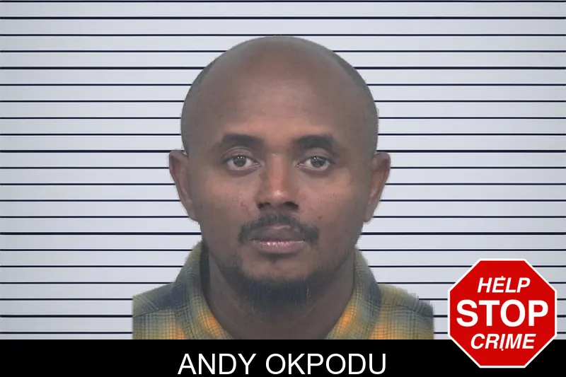 Andy Okpodu mugshot