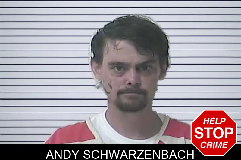 Andy Schwarzenbach mugshot