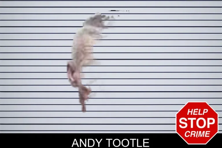 Andy Tootle