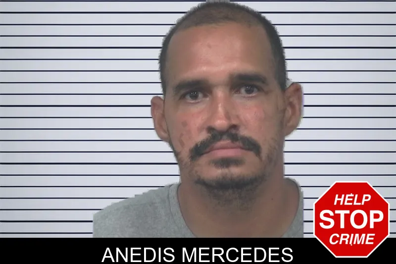 Anedis Mercedes mugshot