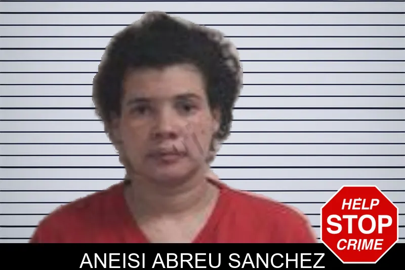 Aneisi Abreu Sanchez mugshot